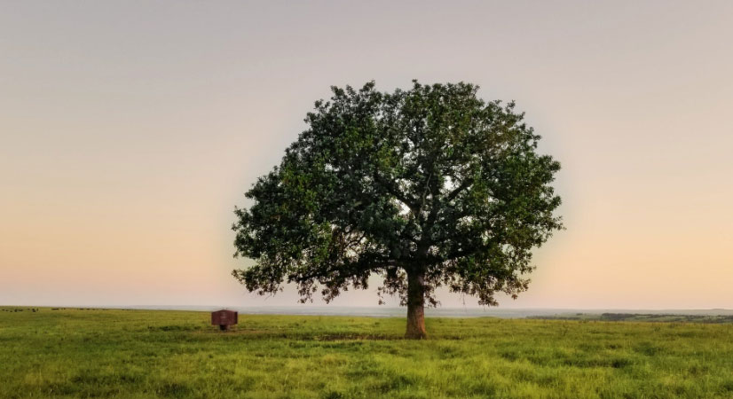 肩負重擔 推動我國經濟、社會<br>環(huán)境全面協(xié)調可持續(xù)發(fā)展